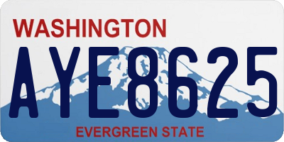 WA license plate AYE8625