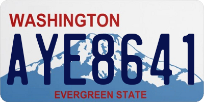 WA license plate AYE8641