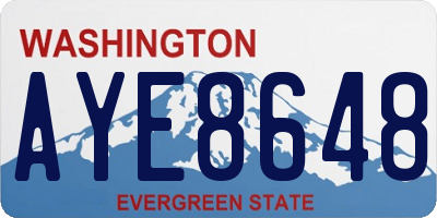 WA license plate AYE8648