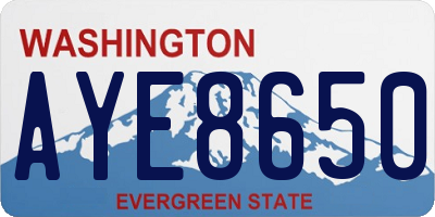 WA license plate AYE8650