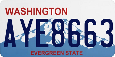 WA license plate AYE8663