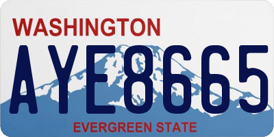 WA license plate AYE8665