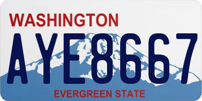 WA license plate AYE8667