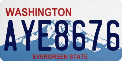 WA license plate AYE8676