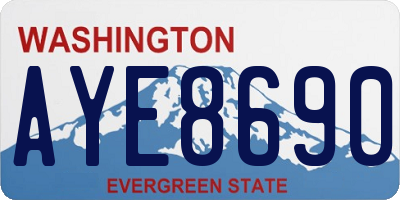 WA license plate AYE8690