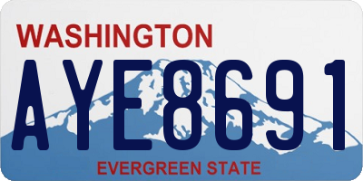 WA license plate AYE8691
