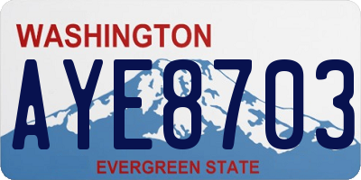 WA license plate AYE8703