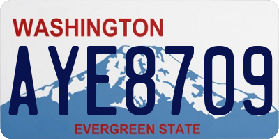WA license plate AYE8709