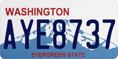 WA license plate AYE8737