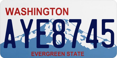 WA license plate AYE8745