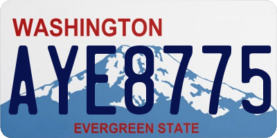 WA license plate AYE8775
