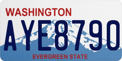 WA license plate AYE8790