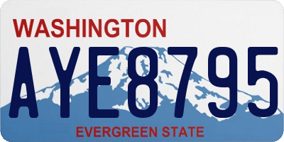 WA license plate AYE8795