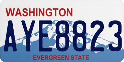 WA license plate AYE8823