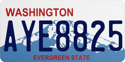 WA license plate AYE8825