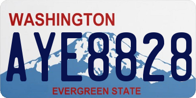 WA license plate AYE8828
