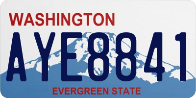 WA license plate AYE8841