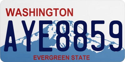 WA license plate AYE8859