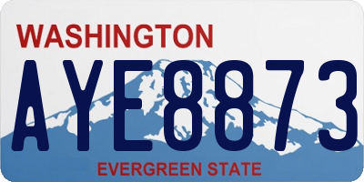 WA license plate AYE8873