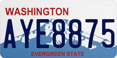 WA license plate AYE8875