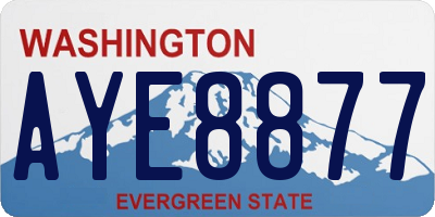 WA license plate AYE8877