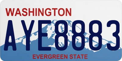 WA license plate AYE8883