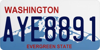 WA license plate AYE8891