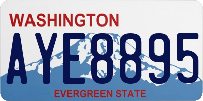 WA license plate AYE8895