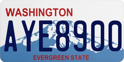 WA license plate AYE8900