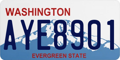 WA license plate AYE8901