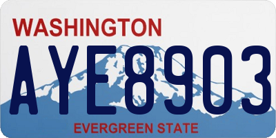 WA license plate AYE8903