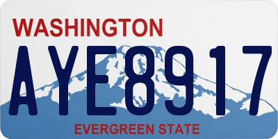 WA license plate AYE8917