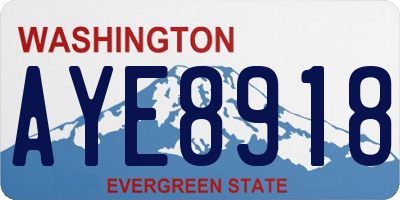 WA license plate AYE8918