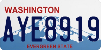 WA license plate AYE8919