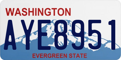 WA license plate AYE8951