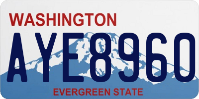 WA license plate AYE8960