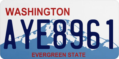 WA license plate AYE8961