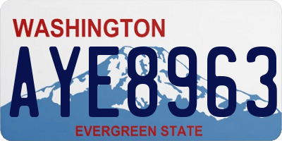 WA license plate AYE8963