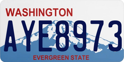 WA license plate AYE8973