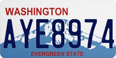 WA license plate AYE8974