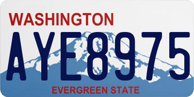 WA license plate AYE8975
