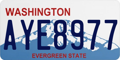 WA license plate AYE8977