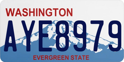WA license plate AYE8979