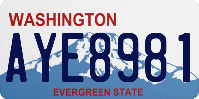WA license plate AYE8981