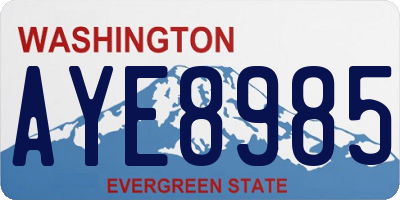 WA license plate AYE8985