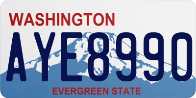 WA license plate AYE8990