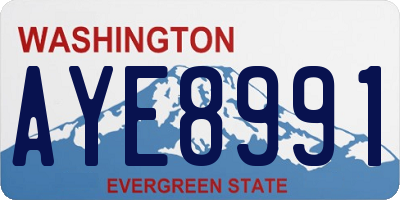 WA license plate AYE8991