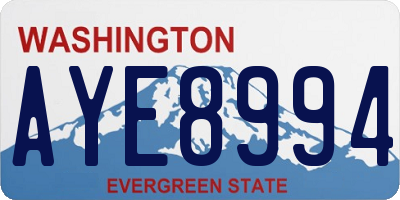 WA license plate AYE8994