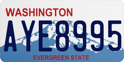 WA license plate AYE8995
