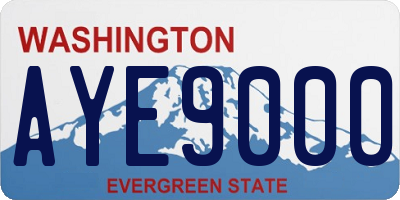 WA license plate AYE9000